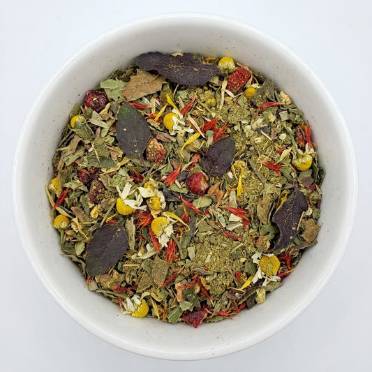 Cranberry Echinacea