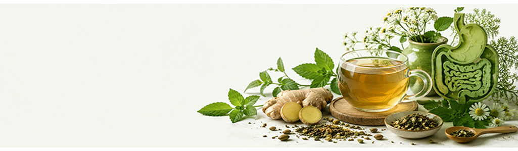 Digestion & Gut Health