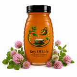 Clover Honey