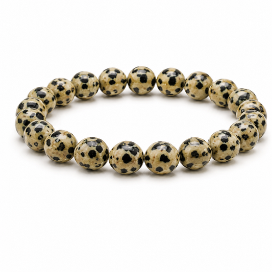 Dalmatian Jasper