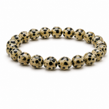 Dalmatian Jasper